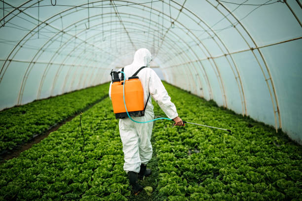 Best Local Pest Control Services  in Johnston City, IL