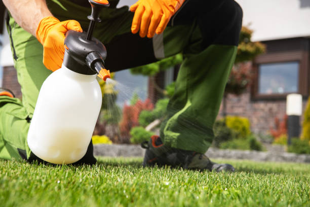 Best Affordable Pest Control Services  in Johnston City, IL