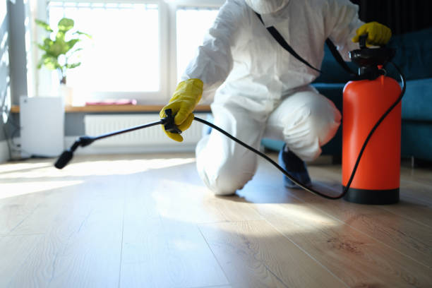 Trusted Johnston City, IL Pest Control Experts