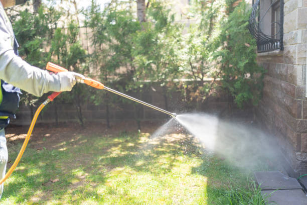 Best Pest Control Near Me in Johnston City, IL