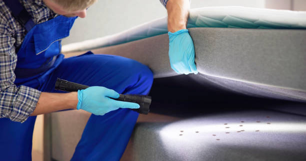 Best Pest Control Near Me  in Johnston City, IL